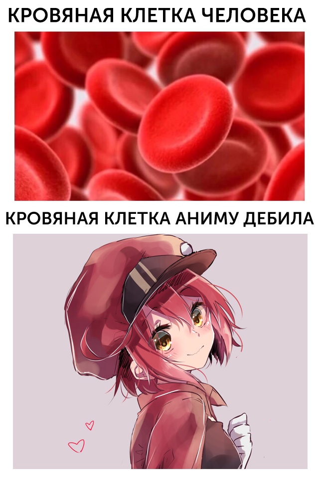 Аниме Мем Кровяная клетка аниму дебила, Anime Hub